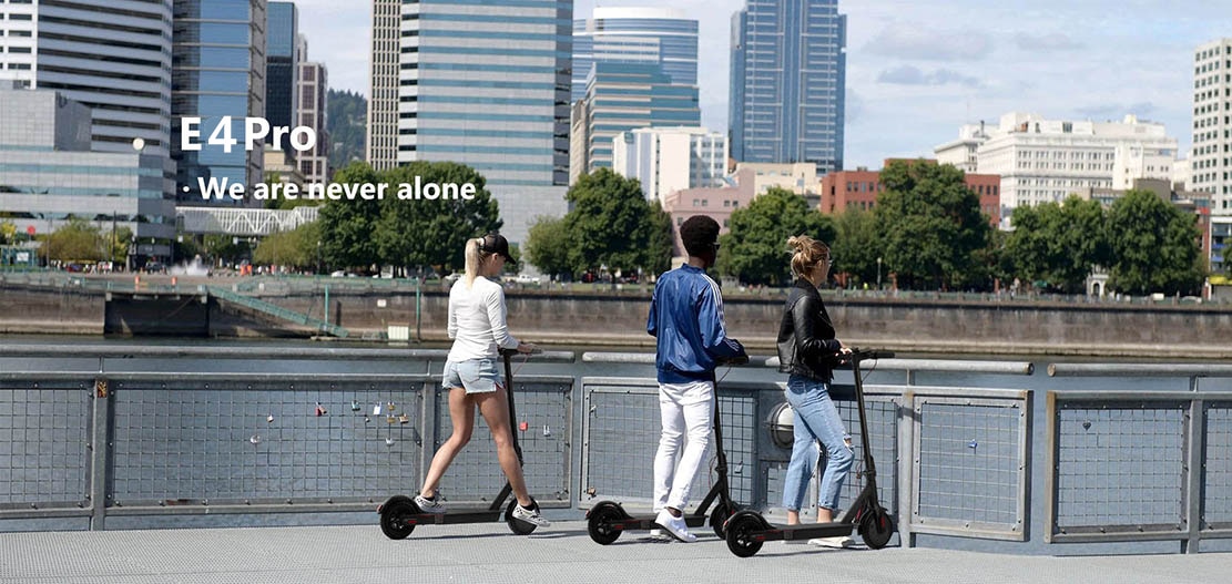 ebikefully