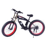 1000W 15A-2