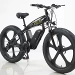 1000W 15AH-3